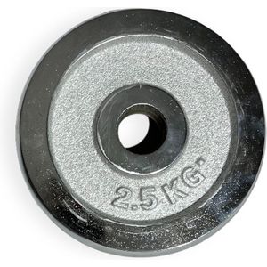 Padisport halterschijf 2.5 kg - gewichten schijven - halterschijven 30 mm - gewicht schijven - gewicht platen - halterschijf 2.5kg - gewichtschijven