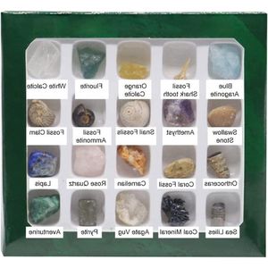 20 soorten mini-formaat natuurlijke kristallen agaatstenen voor geologie-liefhebbers - mineralen, fossielen, kinderleermaterialen. .