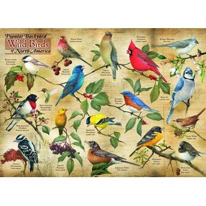 Cobble Hill puzzel Popular Backyard Wild Birds - 1000 stukjes