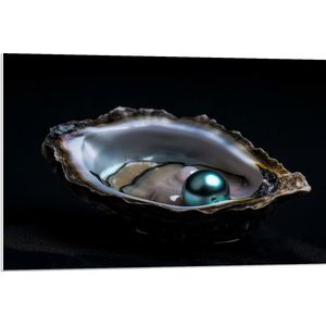 PVC Schuimplaat - Parel in Opengebroken Schelp op Zwarte Achtergrond - 90x60 cm Foto op PVC Schuimplaat (Met Ophangsysteem)