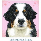 DIAMOND DOTZ Dog Zuzu - Diamond Painting - 11.664 Dotz - 29x29 cm