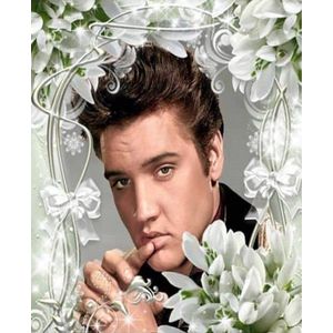 Denza - Diamond painting Elvis met bloemen volwassenen 40 x 50 cm volledige bedrukking ronde steentjes direct leverbaar elvis presley the king