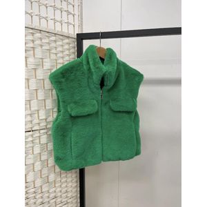 Bodywarmer Teddy - Groen