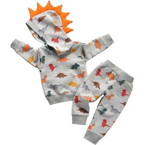 Babykleding jongens hoodie en broek, dierstijl, lange mouwen