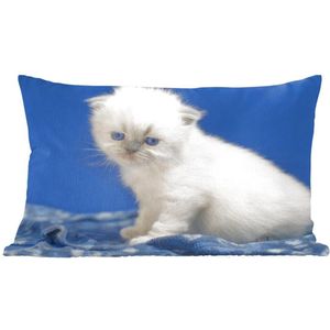 Sierkussen Katten voor binnen - Witte kitten in blauwe ruimte - 50x30 cm - rechthoekig binnenkussen van katoen