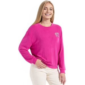 Volume box sweatshirt geborduurd fleece glanzend detail