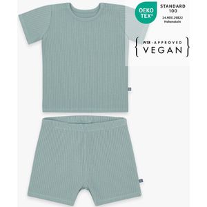 Baby Pyjama 2-delige, zachte & ademende newborn pyjama, OEKO-TEX gecertificeerd, pyjama voor de zomer voor jongens & meisjes