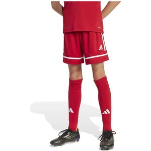adidas - Squadra 25 - Voetbalbroekje - Rood Wit