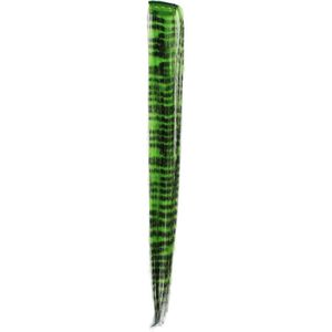 Zac's Alter Ego - Zebra print Haarextensie - Groen