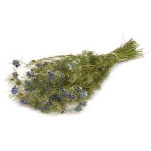 Naturel blauwe Nigella Flower droogbloemen | Lengte 60 centimeter | Per bos te bestellen
