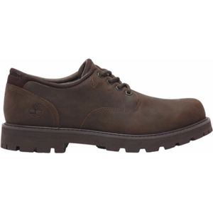Timberland Britton Road Wp Schoenen Bruin Man