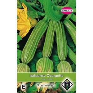 Van Hemert & Co - Courgette Cocozelle (Cucurbita pepo)