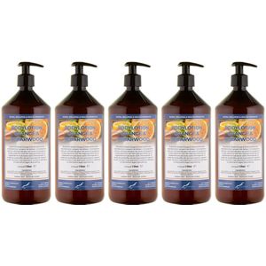 Bodylotion Sweet Orange & Cedarwood 1 Liter - met gratis pompje - set van 5 stuks - Voordeelverpakking