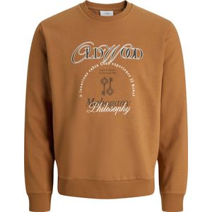 JJ Rebel - JREBPHIL CREW NECK SWEAT - Jongens - Sweaters