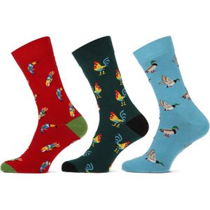 3 Paar uniseks sokken Teckel maat 36-42 vogels