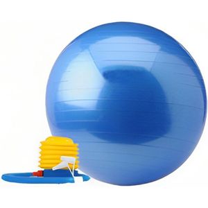Focus Fitness - Fitnessbal - 55 cm - Gymball incl. voetpomp