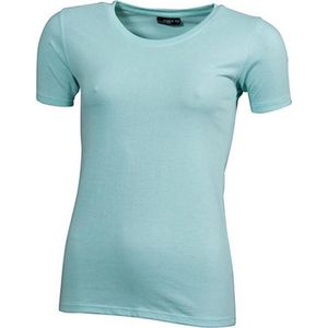 James and Nicholson Dames/dames Basic T-Shirt (Munt)