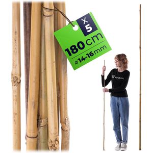 Plantsteunen D 30-40 cm 3 stuks - Janssen Tuinproducten