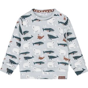 Dirkje Q- Boys arctic Jongens Trui - Maat 62