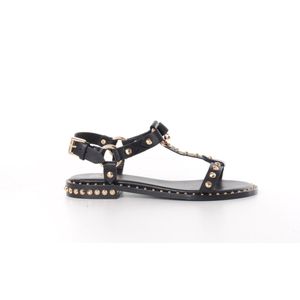 Ash Italia dames sandaal Patsy in zwart leder met studs