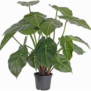 Kunstplant - Nepplanten Voor Binnen - Syngonium podophyllum hoogte 50cm