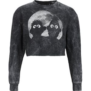 Sesame Street Ernie und Bert - Moonlight Dames Sweatshirts - grijs - S