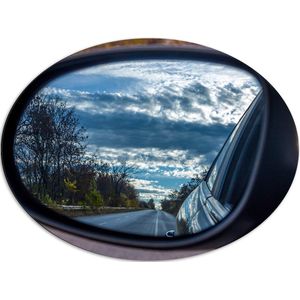 Dibond Ovaal - Uitzicht op Bomen langs de Weg vanuit Autospiegel - 80x60 cm Foto op Ovaal (Met Ophangsysteem)