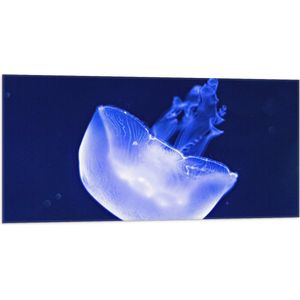 Vlag - Neon Blauwe Kwal in Donkerblauwe Oceaan - 100x50 cm Foto op Polyester Vlag
