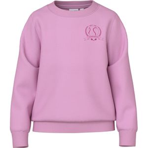 NAME IT NKFVASACHA LS SWEAT UNB Meisjes Trui - Maat 146/152