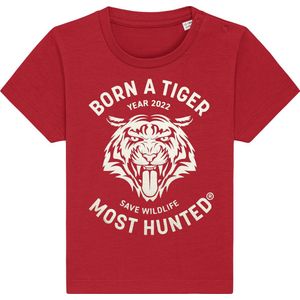 Most Hunted - baby t-shirt - tijger - rood - goud - maat 6-12 maanden