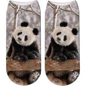 Enkelsokken Panda - Pandaberen enkelsokken - Fotoprint - Unisex Maat 36-41