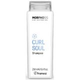 Framesi Morphosis Curl Soul Shampoo 250ml