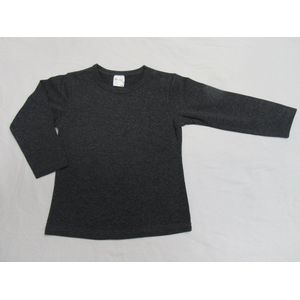 dirkje , meisjes , t-shirt lange mouw , grijst met glitter ,  4 jaar 104