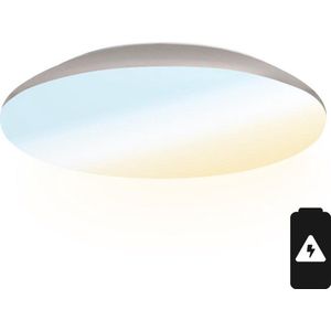 LED Bulkhead 30 cm - Plafondlamp met Noodaccu - 18W 2100 Lumen - 6500K Daglicht Wit - IK10 - Wit