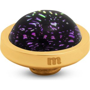 Melano Vivid Shimmer Steentje Violet | Goud