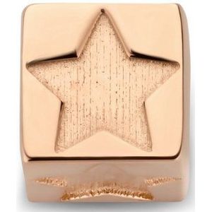 Isabel Bernard - La Concorde Felie - Bedel - Roségoud - 14 Karaat