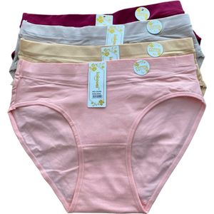 Deluxe - Basic Katoenen taille slip G6196 4-pack XL/XXL