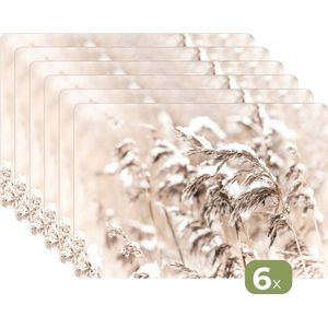 Placemat - Placemats kunststof - 45x30 cm - Winter - Planten - Sneeuw - Natuur - Seizoenen - 6 stuks - Borden onderleggers antislip - Tafel decoratie - Luxe tafelversiering - Tafelmat vinyl - Bord onderlegger - Tafeldecoratie accessoires