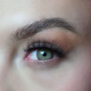 Wildcat - Jaarlenzen - Bruin - Realistische Kleurlenzen - Zachte Lenzen - Comfortabel voor Dagelijks Gebruik