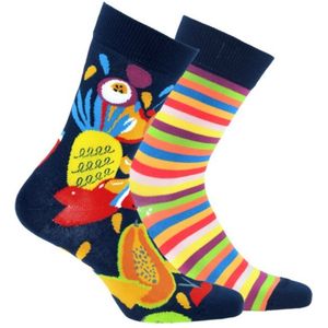 2 pack Gatta-Wola katoenen sokken Funky, 2 verschillende patronen, maat 43-46, Mix fruit & strepen patroon