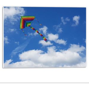 Forex - Gekleurde Vlieger in Blauwe Lucht - 40x30cm Foto op Forex