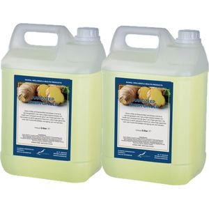 Handzeep Fresh Ginger 5 liter - set van 2 stuks - navulling - Voordeelverpakking