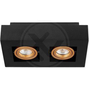 LvT - LED Plafondspot zwart goud - 2x GU10 fitting