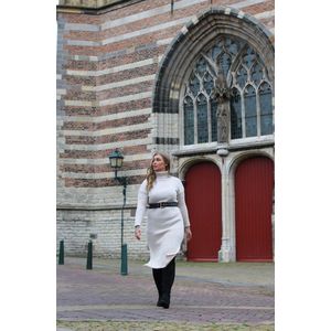 Jolende dress | beige