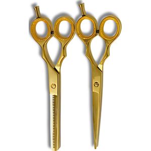 Guardian Beauty Scharenset - 6,5 Inch - Roestvrij Staal - Met Gratis Etui - Kappersgereedschap