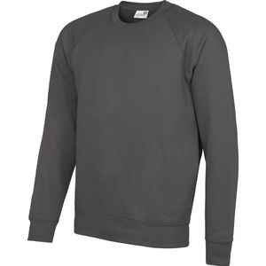 Awdis Academie Herenbemanning Hals Raglan Sweatshirt (Houtskool)