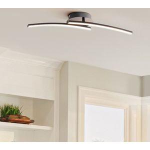 Design plafondlamp met geïntegreerde LEDs - Luxie