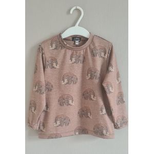 Shirt met lange mouwen - longsleeve - mammoet print - nieuwe collectie - jongens - taupe - maat 116