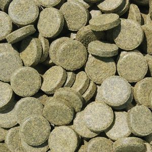 Tabletten Spirulina (500ml)