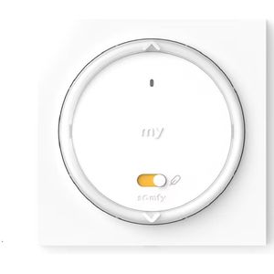 Somfy Amy 1 RS100 io, incl vierkant frame